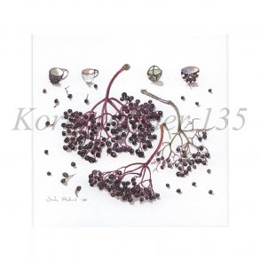 Hyldeb�r (Nina Ferlov)