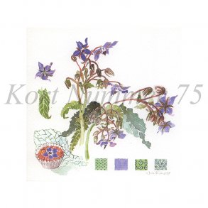 Hjulkrone (Nina Ferlov)