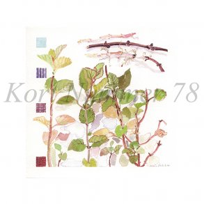 Eau de cologne mynte (Nina Ferlov)