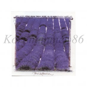 Lavendel (Poul Ib Henriksen)
