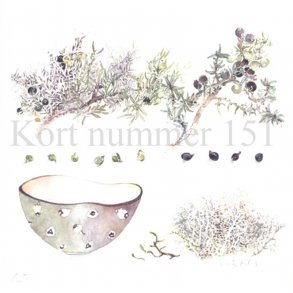 Eneb�r (Nina Ferlov)