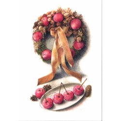 MINIKORT - bleskiver og blekrans