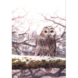 MINIKORT - Ugle og Sneugle
