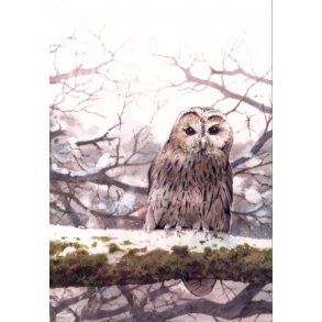 MINIKORT - Ugle og Sneugle