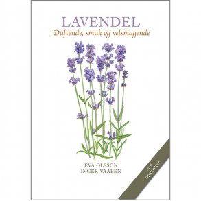 LAVENDEL - Duftende, smuk og velsmagende 