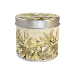 Duftlys - vanilie / hvid amaryllis