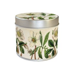 Duftlys - vanilie / julerose