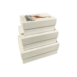 Pap boks, st / 3 stk. - Safari dyr