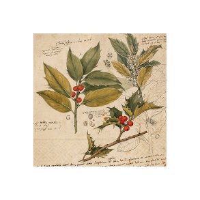 Frokostservietter - Kristtorn (20stk.)