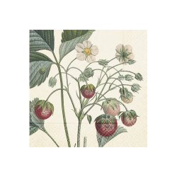 Frokostservietter - Jordbr (20stk.)