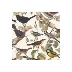 Frokostservietter - Nordiske fugle (20stk.)