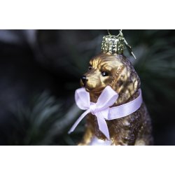 Juleophng blond labradoodle H7cm