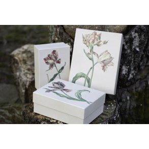 Pap boks, st / 3 stk. - Tulipan