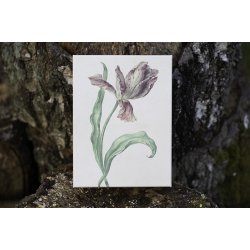 Pap boks, st / 3 stk. - Tulipan