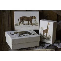 Pap boks, st / 3 stk. - Safari dyr