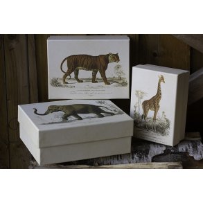 Pap boks, st / 3 stk. - Safari dyr