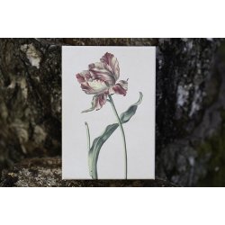 Pap boks, st / 3 stk. - Tulipan