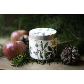 Duftlys - vanilie / julerose