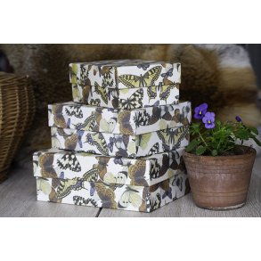 Pap boks, st / 3 stk. - sommerfugl