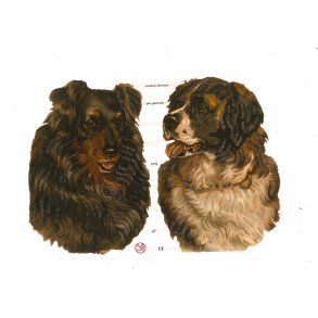 Glansbilleder 7275 med glimmer