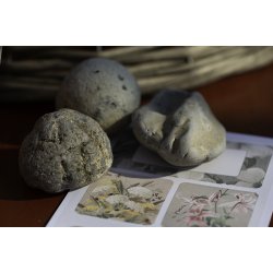 Klistermrker, 2 ark - 10,5 x 30 cm. - Hstblomst