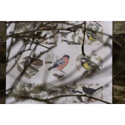 Klistermrker, 2 ark - 10,5 x 30 cm. - Nordiske fugle