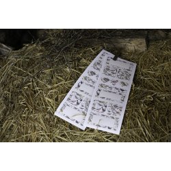 Klistermrker, 2 ark - 10,5 x 30 cm. - Nordiske fugle