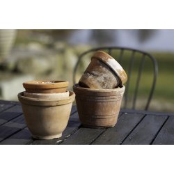 Klistermrker, 2 ark - 10,5 x 30 cm. - Sommerfugle