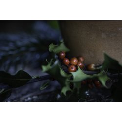 Juleophng gravhund m/hat H8cm