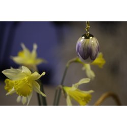 Frokostservietter - Hane (20stk.)