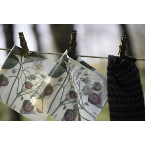 Frokostservietter - Jordb�r (20stk.)