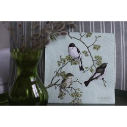 Servietter - Broget Fluesnapper (20 stk.)