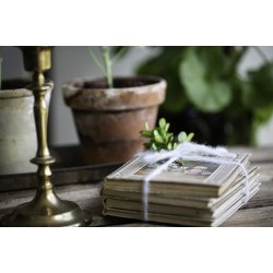  Laurant box 31,5 x 41,5 x 5 cm.